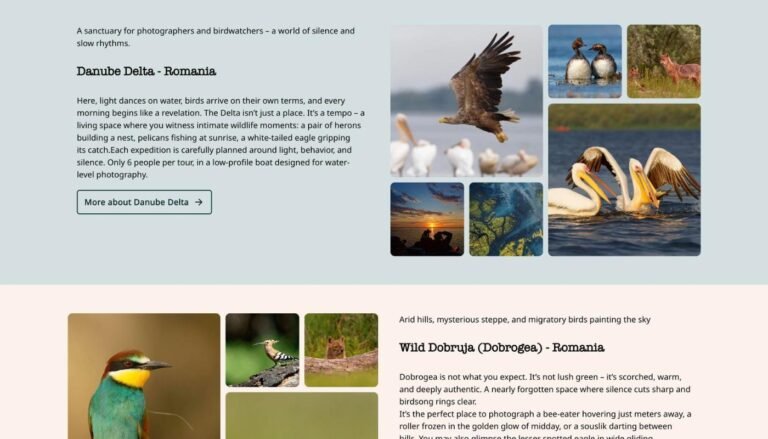Captură din site-ul Just Wildlife Tours
